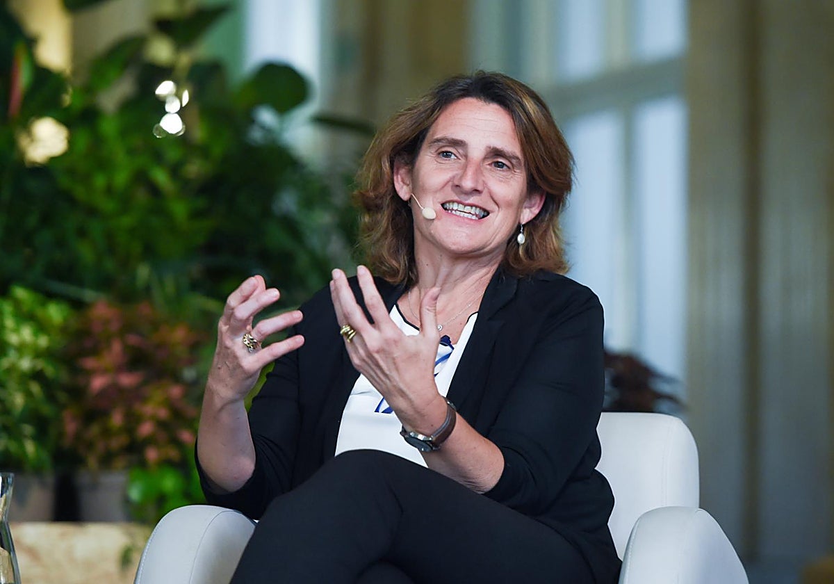 La vicepresidenta, Teresa Ribera