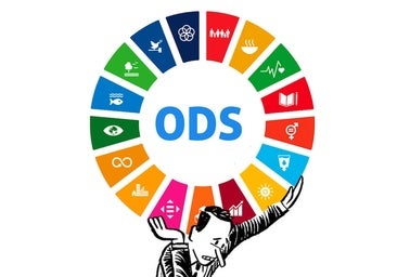El lento aterrizaje de las pymes en el prometedor territorio de los ODS