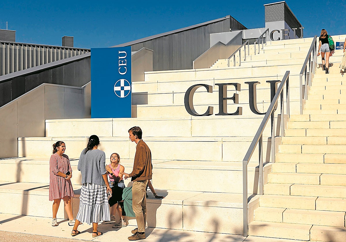 Lecciones prácticas de empleabilidad y crecimiento profesional