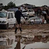 Retiran casi 3.000 cadáveres de animales en las explotaciones ganaderas más afectadas por la DANA