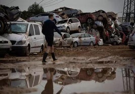 Retiran casi 3.000 cadáveres de animales en las explotaciones ganaderas más afectadas por la DANA