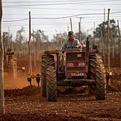 Los sectores del campo y de empleadas del hogar destruyen 147.000 empleos