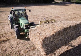 ¿Coches por bistecs?: el campo teme pagar la factura de Mercosur