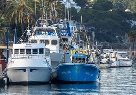 España une fuerzas con Italia y Francia para frenar el recorte de las cuotas pesqueras en el Mediterráneo