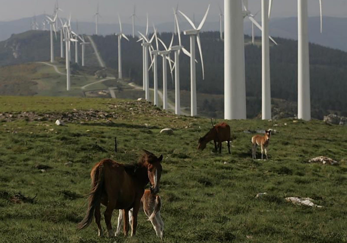 Un parque eólico en Galicia