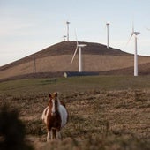 La industria eólica alerta sobre la lentitud en la implantación de renovables