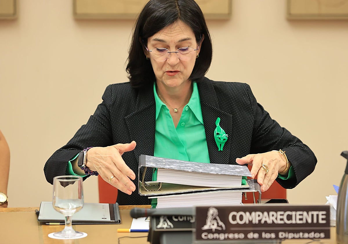 Cani Fernández, presidenta de la CNMC