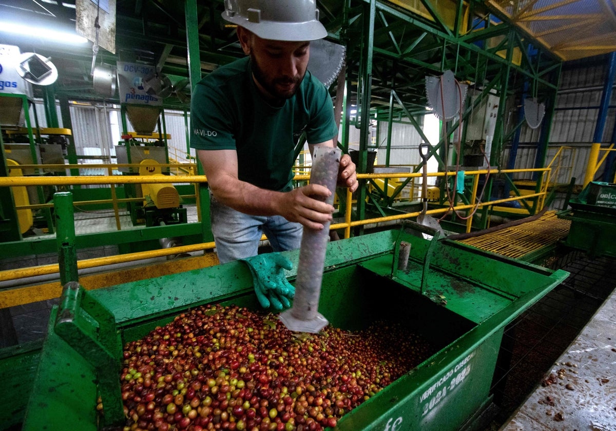 Un trabajador, en medio de sus labores