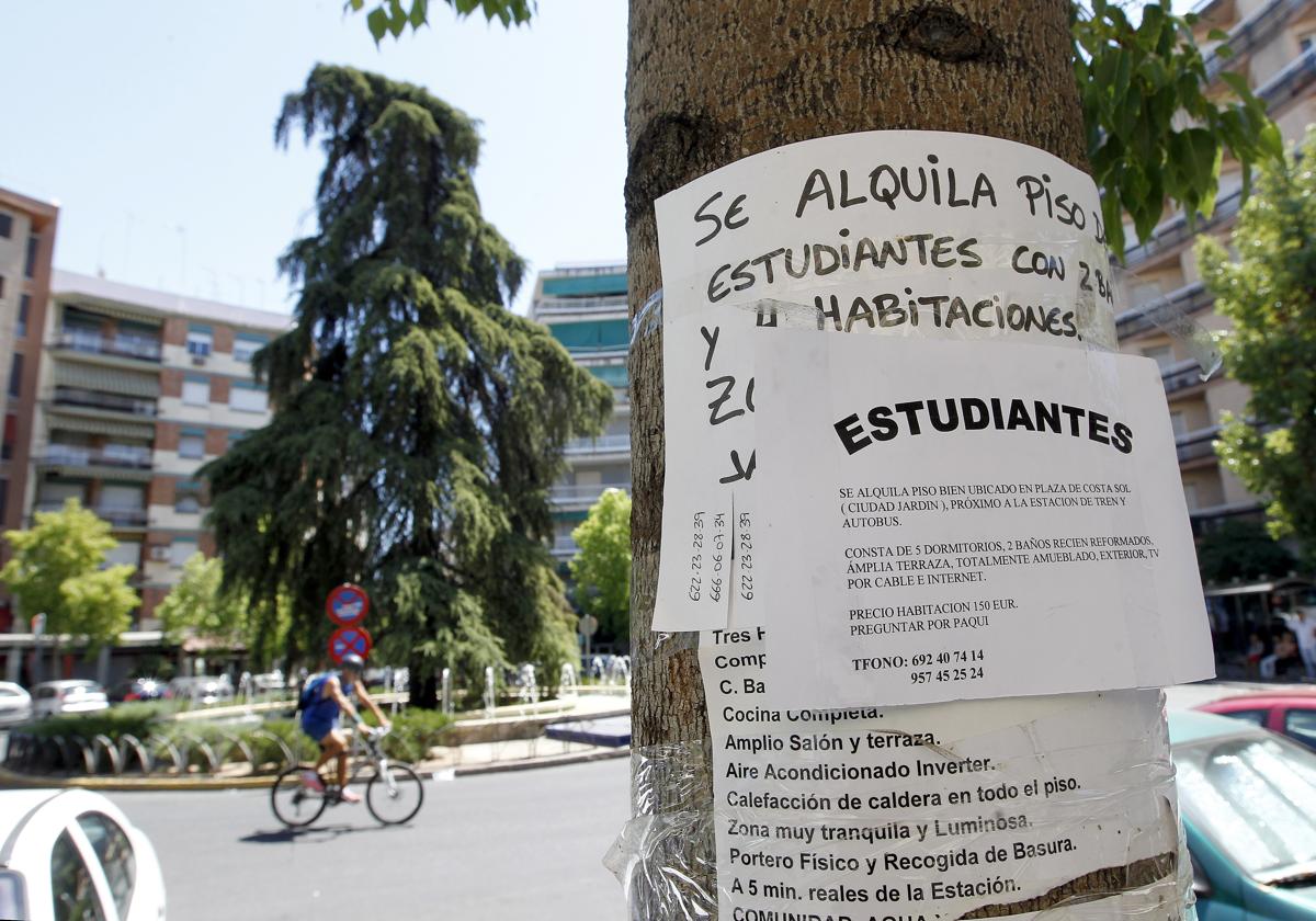 Cartel de alquiler de piso de estudiantes en Córdoba.