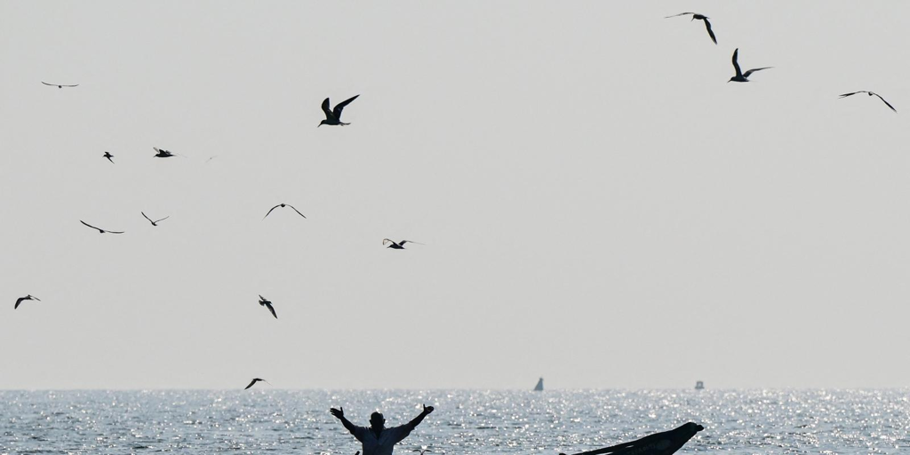 El Parlamento Europeo aprueba el acuerdo de pesca con Cabo Verde