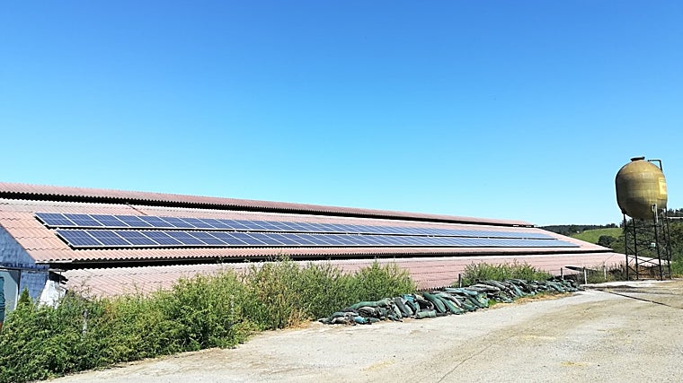 La ganadería gallega Gocalvesa ordeña a 250 vacas con la electricidad que proporciona su microrred