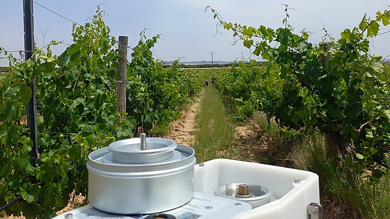 Un captador de esporas en el ambiente utilizado por Bodegas Familiares Matarromera para predecir la incidencia de enfermedades fúngicas en el viñedo