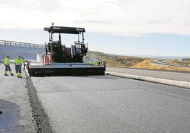 A la búsqueda de una nueva materia prima verde para apuntalar la sostenibilidad