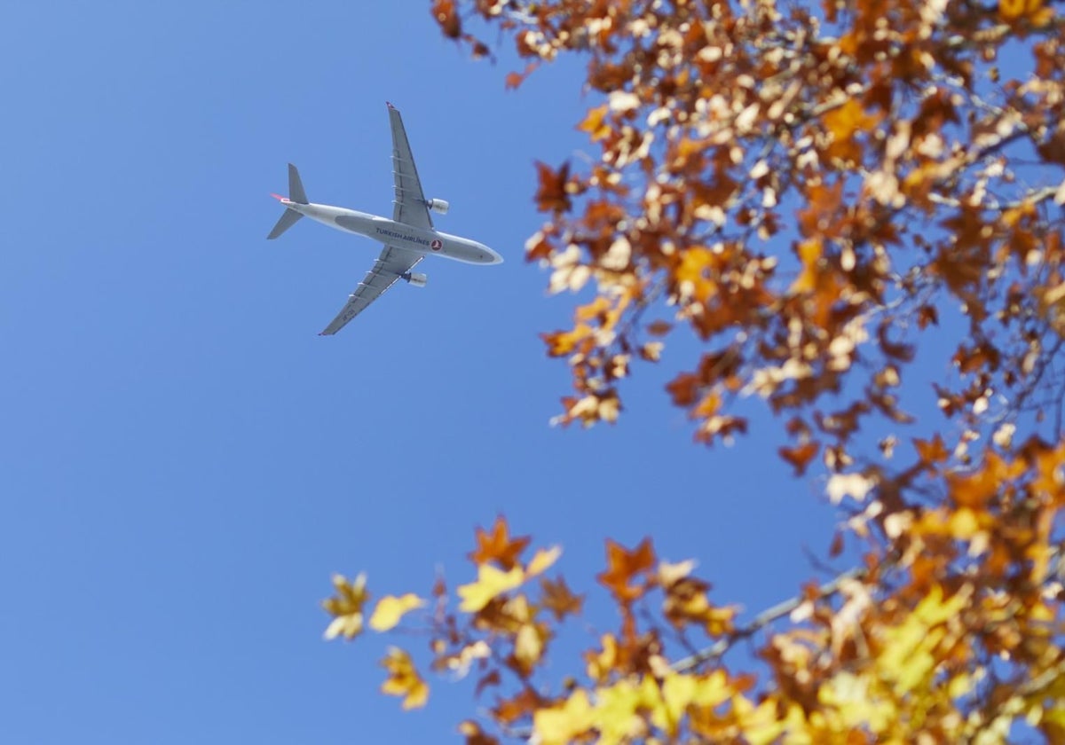 El Gobierno no informa de cuánto debe a las aerolíneas