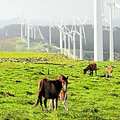 El Supremo abre la puerta a activar 1.500 millones de inversiones eólicas