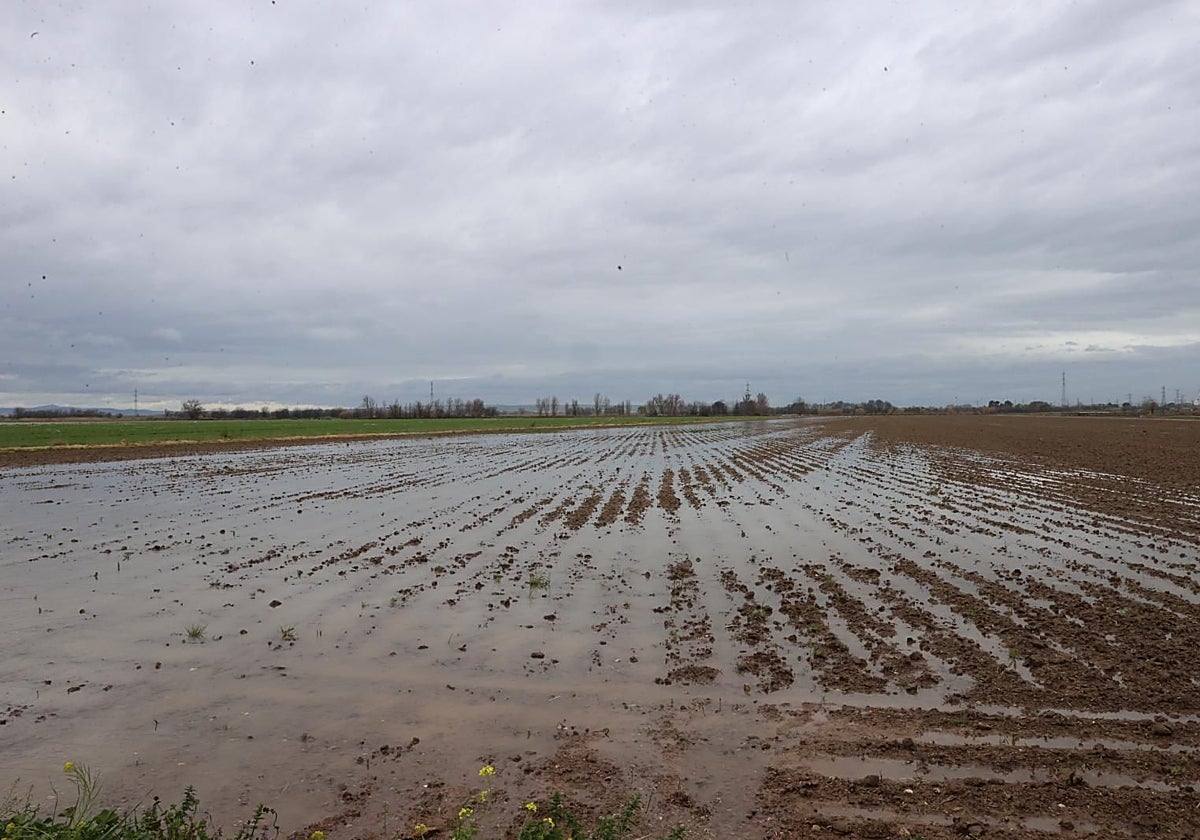 La acumulación de agua puede ser tan dañina como la sequía