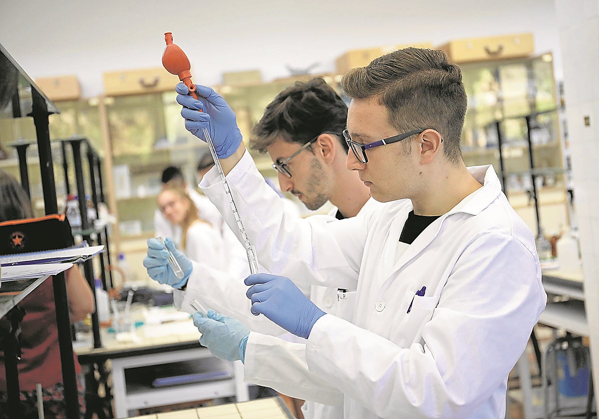 La Formación Profesional consolida su eficiencia como vía formativa con alta empleabilidad