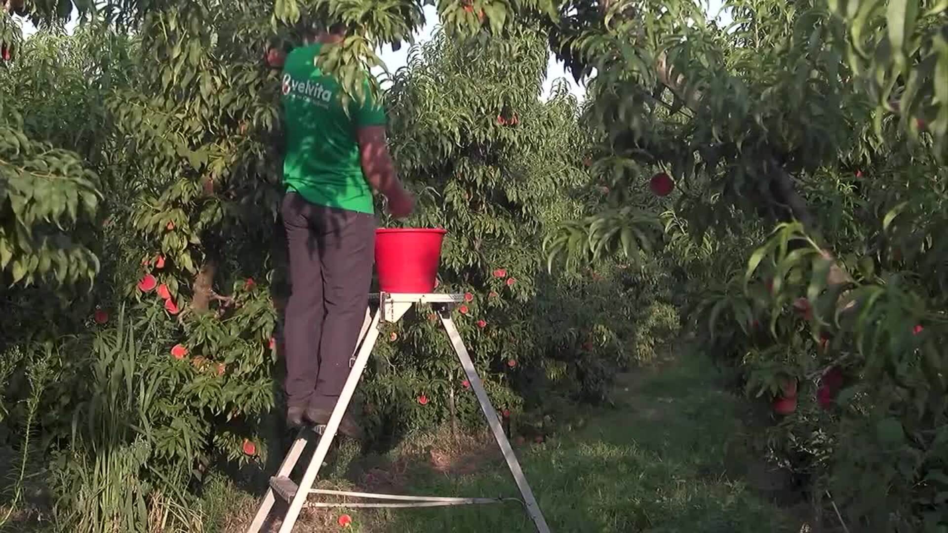 El paro baja en 13.311 personas en marzo, hasta los 2,58 millones