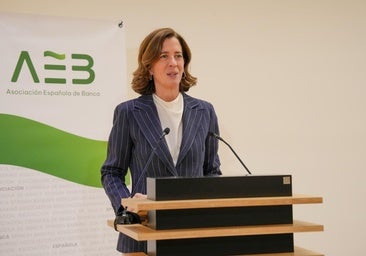 La Asociación Española de Banca recurrirá el impuesto a la banca en cuanto se publique el modelo de liquidación