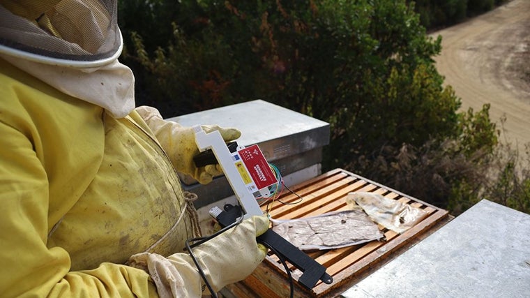 Instalación de sensores en las colmenas inteligentes que ha desarrollado el Grupo Operativo Innomiel. Controlan el estado de salud de las abejas