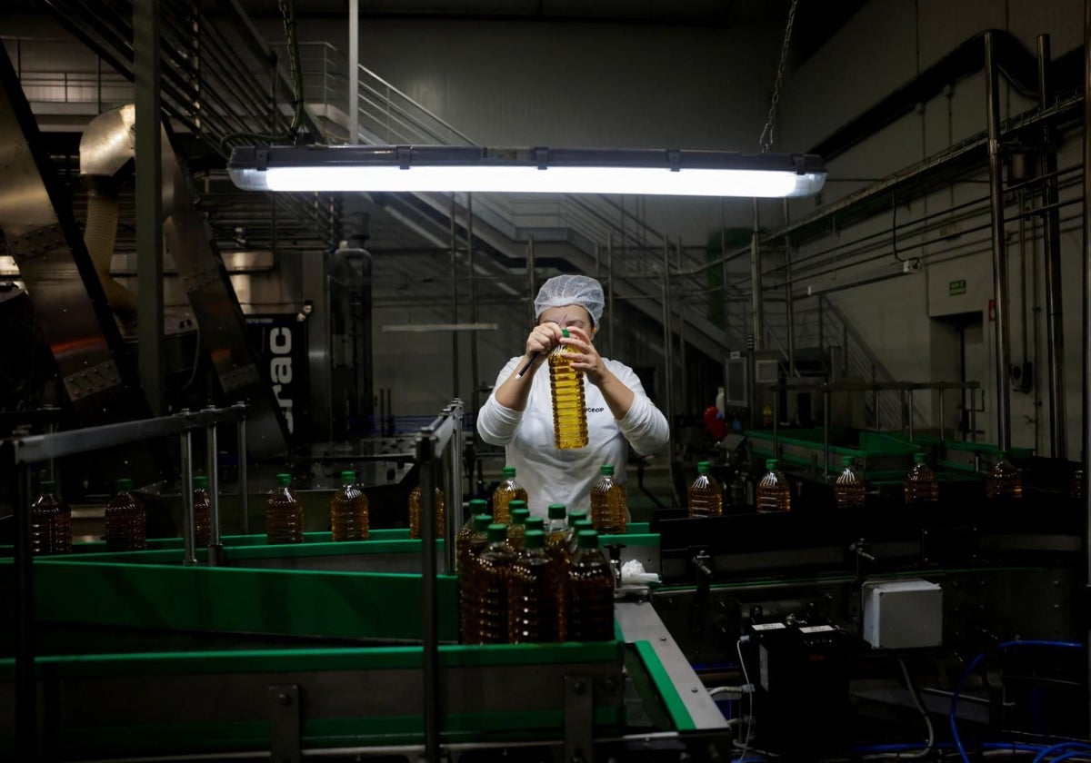 Una empleada en la fábrica de Dcoop en Antequera