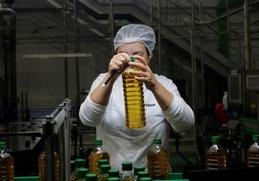El aceite de oliva español, en vilo por una guerra comercial que da alas a Turquía