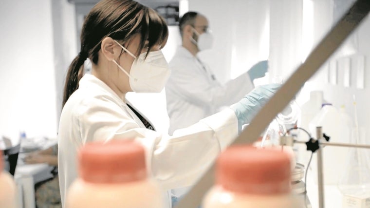 La gama NOB166 Protect Clothes evita el depósito y crecimiento de todo tipo de microorganismos durante siete días. En la imagen, profesionales de la empresa canaria