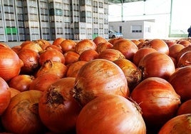 Cebollas, limones y peras conferencia, los alimentos básicos que más se encarecen en abril