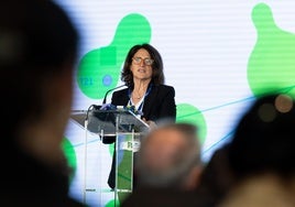 El Gobierno blinda el cuestionado plan de energía de Ribera
