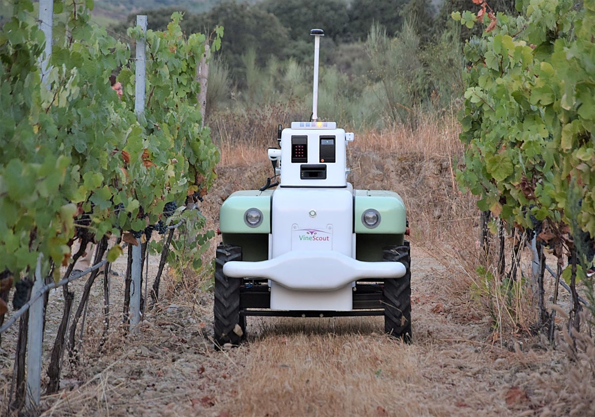 Una de los prototipos del proyecto VineScout de la Universidad Politécnica de Valencia. El objetivo era medir las necesidades hídricas del viñedo