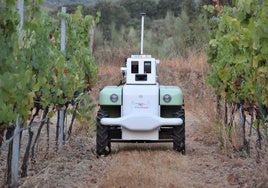 Las semillas de larga germinación de los robots agricultores