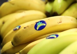 El plátano de Canarias iguala el precio de otras frutas nacionales tras una década