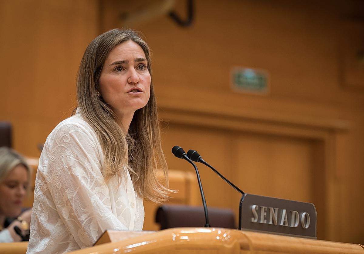 La ministra para la Transición Ecológica y el Reto Demográfico, Sara Aagesen, en el Pleno del Senado este miércoles