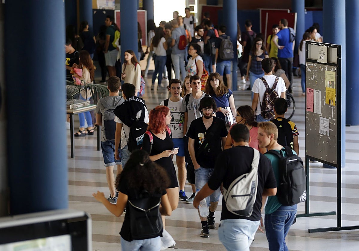 Estudiantes universitarios en el Campus de Rabanales