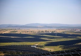 Fedea pone en duda que las renovables puedan cubrir la demanda tras el cierre nuclear