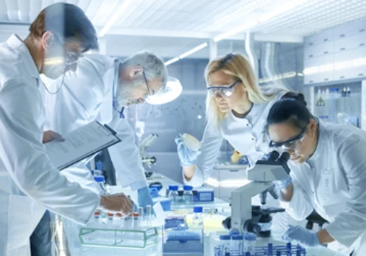 Un equipo de investigadores japoneses de la Universidad de Osaka ha logrado algo nunca antes visto: inducir una reversión sexual de macho a hembra