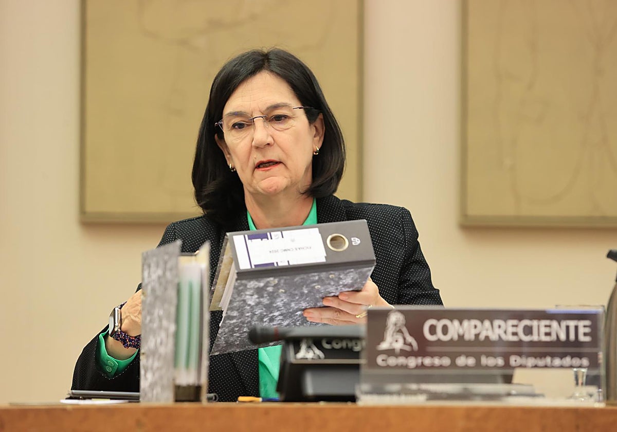 Cani Fernández, presidenta de la CNMC