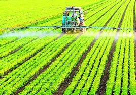Un agricultor riega un campo de cultivo