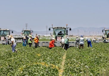El plan de la UE para la futura PAC deja a cerca de 150.000 jubilados sin ayudas