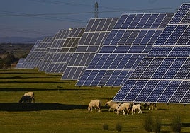 La grieta del desperdicio en el sistema energético se agiganta en el sector renovable