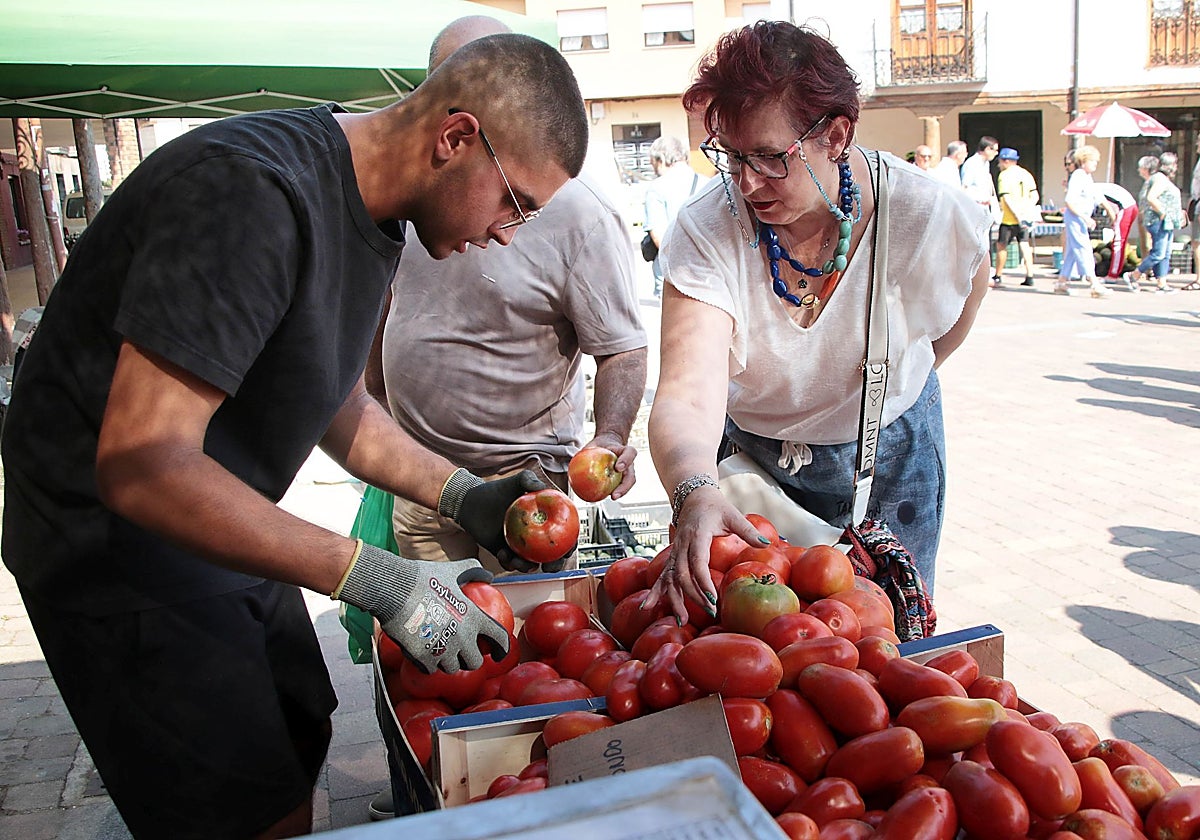 Un trabajador vende diferentes variedades de tomate en una feria en León