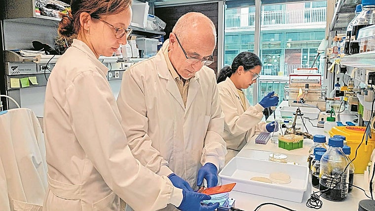 Parte del equipo de BIOM BioInspired Materials. En el centro, Javier Macia