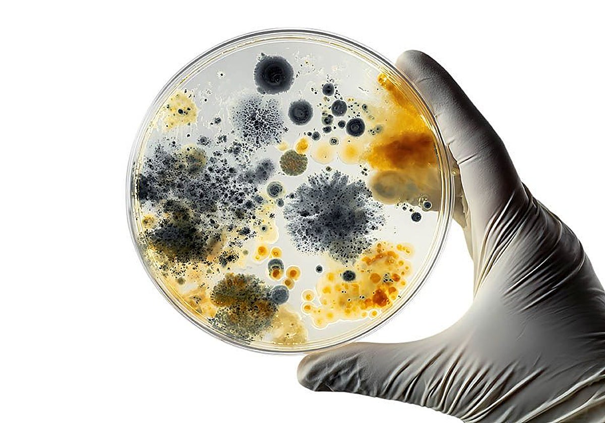 La maquinaria innovadora de la biotecnología se lanza a cambiar la industria de raíz