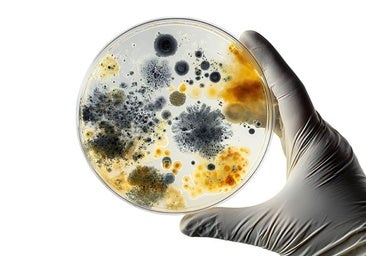 La maquinaria innovadora de la biotecnología se lanza a cambiar la industria de raíz