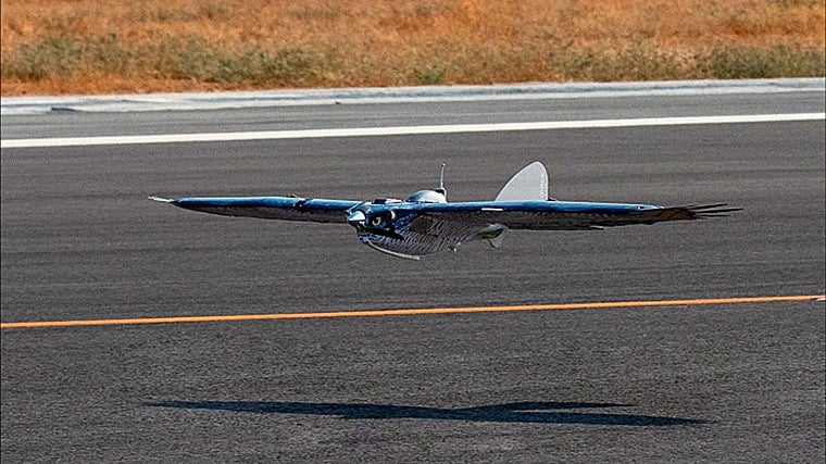El primer dron que desarrolló Arquimea: era una especie de halcón para evitar que los pájaros colisionaran con los aviones durante las maniobras de despegue y aterrizaje en aeropuertos