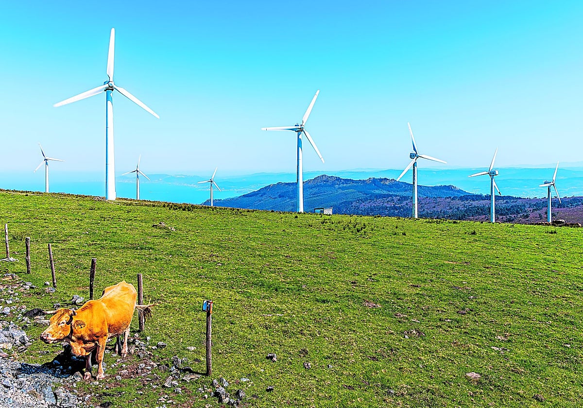 La revolución transversal de la descarbonización se lanza al interruptor de la consolidación