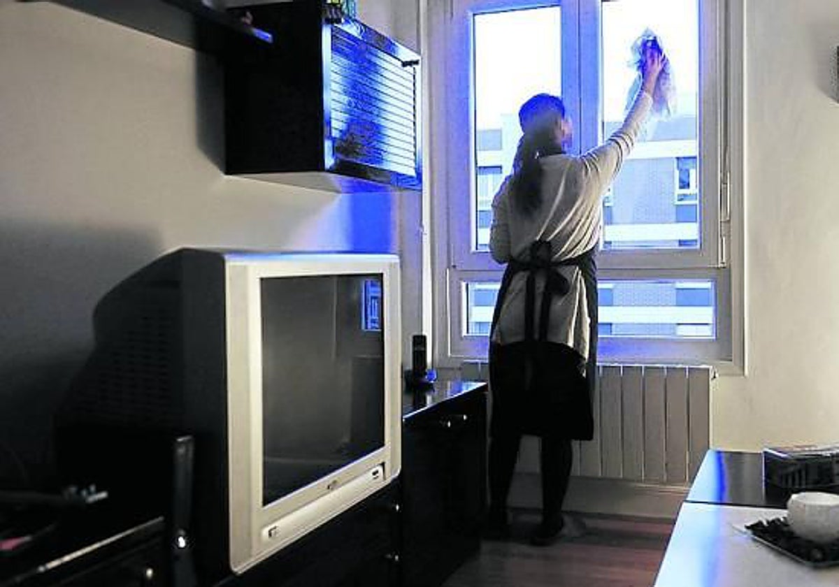 Ataque a la &#039;web&#039; de Trabajo que evalúa los riesgos de las empleadas de hogar