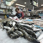 Agricultura pincha con su plan para garantizar pescado y marisco fresco en Navidad