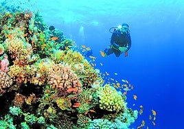 La innovación agiganta los horizontes del buceo recreativo