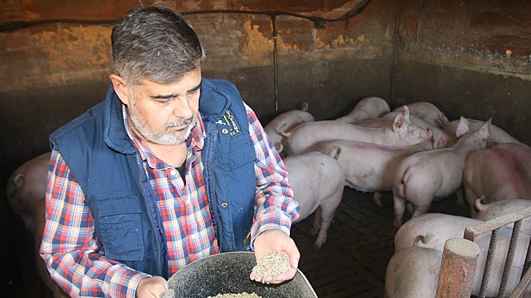 Jordi Siscart, on his farm in Alcarràs (Lleida)